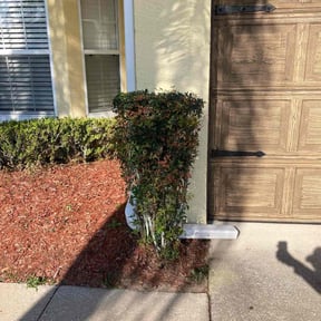 Bush Trimming by Dads Lawn Services reviewed on August 21, 2025