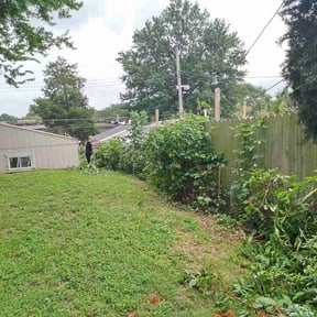 Bush Trimming by Macario Brother's Lawn Care Inc. reviewed on August 16, 2025