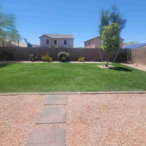 Leaf Removal by Torres Transformations reviewed on July 27, 2022