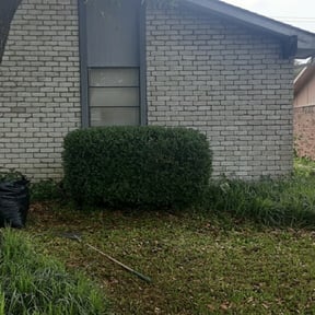 Bush Trimming by Golden Acres Lawn Care reviewed on August 18, 2025