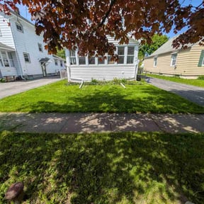 yard service by All cut reviewed on January 7, 2026