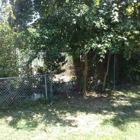 Bush Trimming by Kountry Life Landscaping reviewed on August 20, 2025
