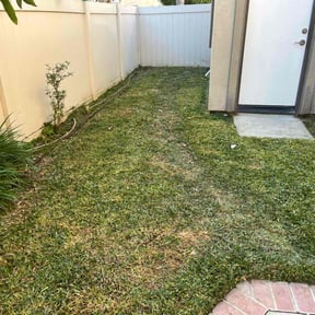 grass cutting by Full Service Lawn Care reviewed on February 19, 2025
