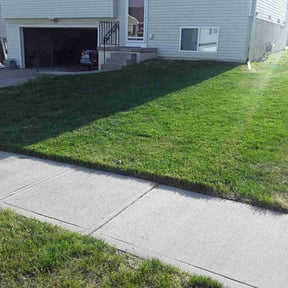 lawn maintenance by A&amp;M Lawn Care reviewed on June 26, 2025