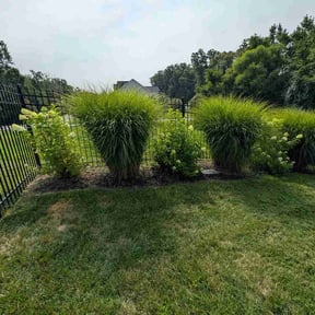 Flower Bed Weeding by Lily Rose Landscaping reviewed on July 17, 2026
