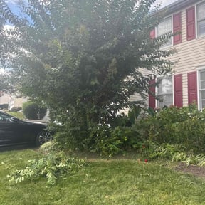 lawn care by MR Lawn reviewed on April 25, 2024