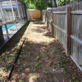 Leaf Removal by Black Label Customs reviewed on May 3, 2026