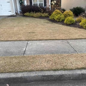 Leaf Removal by Hampton&#039;s Landscaping LLC reviewed on November 24, 2025