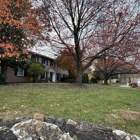 Leaf Removal by Dan&#039;s Lawn &amp; Landscaping reviewed on November 10, 2025