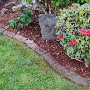 Bush Trimming by Lawn Care Rx reviewed on August 15, 2025