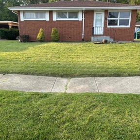 Bush Trimming by Perea Landscaping and Construction reviewed on October 23, 2025