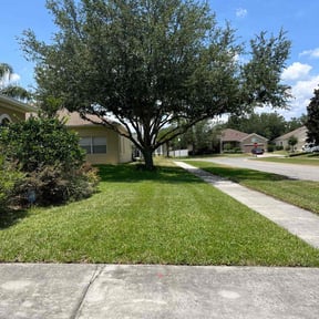 landscaping by Spradlin lawncare reviewed on August 20, 2025