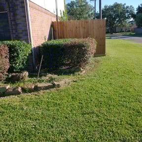 Bush Trimming by Re Image lawn care reviewed on August 21, 2025