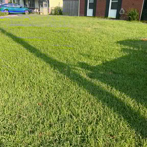 landscape maintenance by Straight Line Landscaping reviewed on August 21, 2025