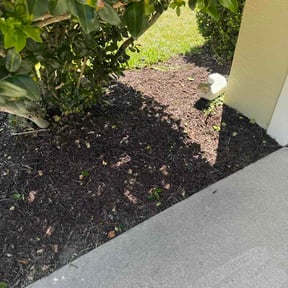 Flower Bed Weeding by Grind City Green and Clean. LLC reviewed on June 11, 2026