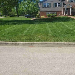 yard care by Alicea Frame to Finish reviewed on August 21, 2025