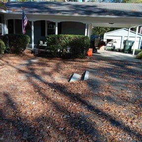 Bush Trimming by Reil Lawn Company LLC reviewed on August 20, 2025