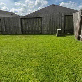 yard service by Busy Buzz Lawn Service reviewed on August 17, 2025