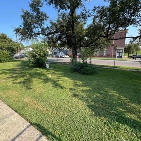 yard maintenance by National preservation and REO services reviewed on August 18, 2025