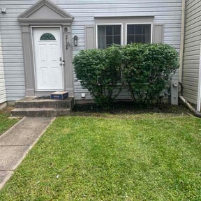 Bush Trimming by Cutting Edge Lawn Experts reviewed on June 22, 2026