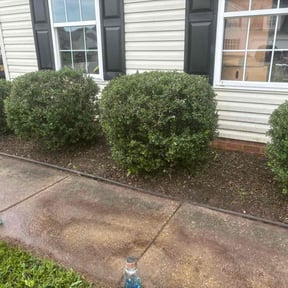 Bush Trimming by Fine Line Landscaping reviewed on August 17, 2025