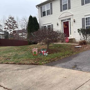 Leaf Removal by Henry' Land Development reviewed on March 17, 2026