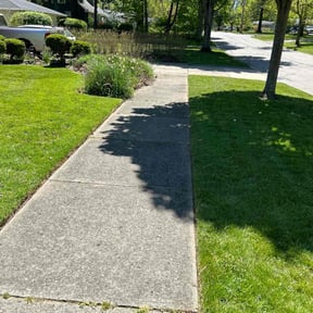 residential landscaping by Scott Basinger lawn care reviewed on August 19, 2025