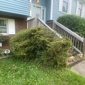 Bush Trimming by D Hayes Services LLC reviewed on August 21, 2025