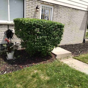 Bush Trimming by Ras property Management reviewed on August 15, 2025