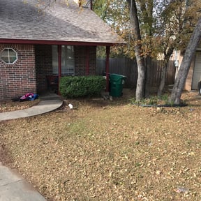 Bush Trimming by Chicago Lawn Care & Snow Removal reviewed on August 20, 2025