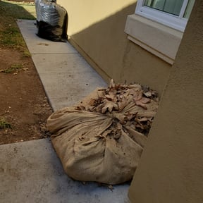 Leaf Removal by Hugheslandscaping reviewed on September 27, 2025