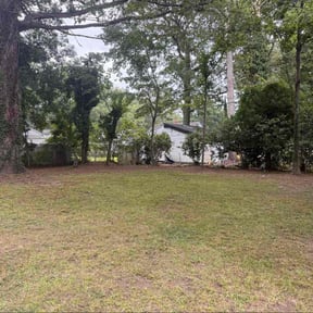 Leaf Removal by Giselle massa reviewed on September 26, 2025