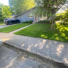 grass maintenance by MVP Lawn &amp; Landscaping reviewed on August 17, 2025