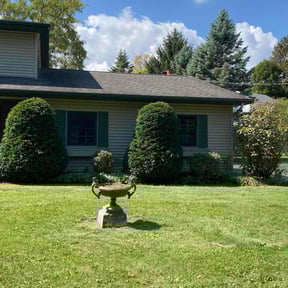 Bush Trimming by Meet Carthon landscaping reviewed on October 20, 2025