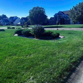 lawn service by Chai Vue reviewed on May 2, 2025