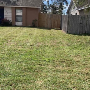 Leaf Removal by The Bush Guys reviewed on September 26, 2025