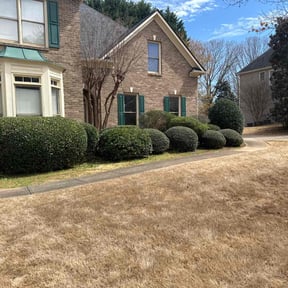 Bush Trimming by Garden Guys Landscaping reviewed on August 18, 2025