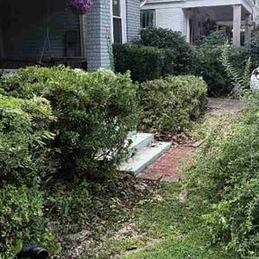 Bush Trimming by Tailor Made reviewed on July 23, 2026