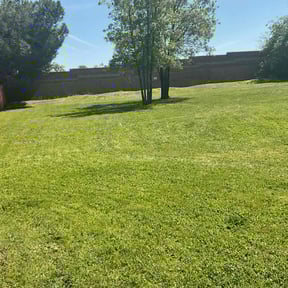 grass maintenance by Allen Investments reviewed on October 21, 2019