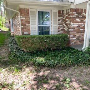 Bush Trimming by Waters Landscaping reviewed on August 20, 2025