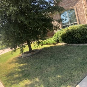 Bush Trimming by Zay’s Lawn Services reviewed on August 16, 2025