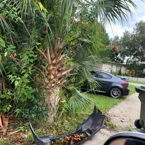 Bush Trimming by Mayan Environmental&amp;Property Services reviewed on November 21, 2025