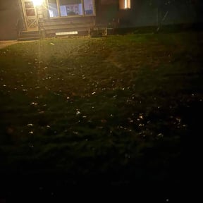 Leaf Removal by Handy Dandy Lawn reviewed on November 21, 2025