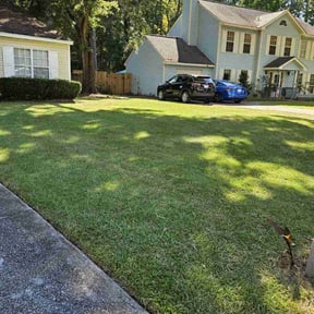 lawn care by Verns Lawncare LLC reviewed on August 15, 2025