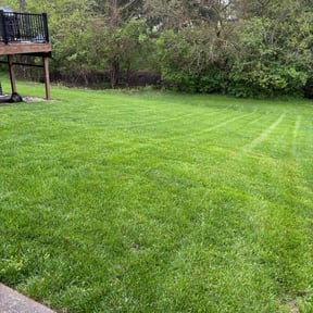 landscaping by USA Lawn Care LLC reviewed on February 4, 2026