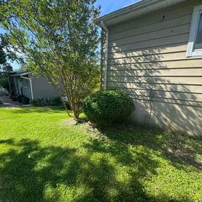 Bush Trimming by Lawn Junkies LLC reviewed on June 10, 2026