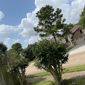 Bush Trimming by Pensacola Lawn & Garden reviewed on August 21, 2025