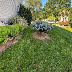 landscaping services by Tony's lawn services/Plowing reviewed on August 18, 2025
