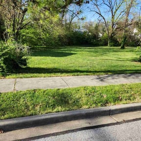 lawn maintenance by Vision Pool Services and Landscaping reviewed on November 9, 2017