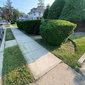 lawn care by A1 America Landscaping reviewed on May 8, 2025